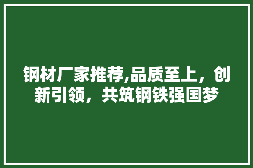钢材厂家推荐,品质至上，创新引领，共筑钢铁强国梦
