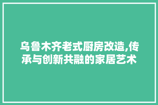 乌鲁木齐老式厨房改造,传承与创新共融的家居艺术