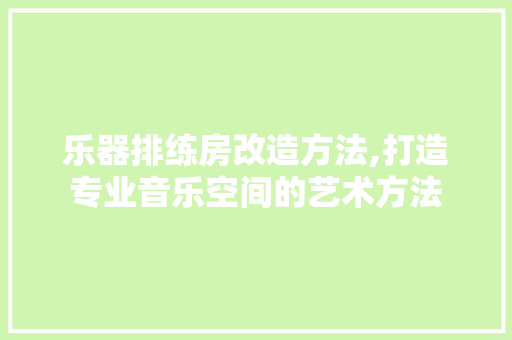 乐器排练房改造方法,打造专业音乐空间的艺术方法