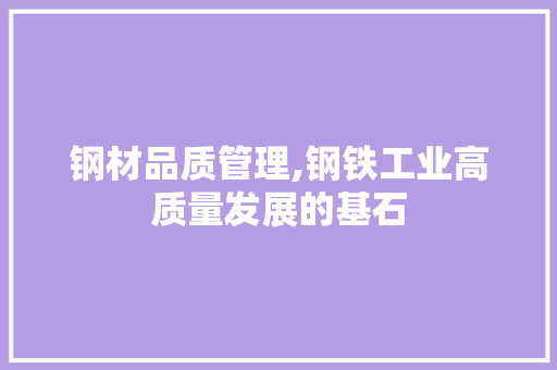 钢材品质管理,钢铁工业高质量发展的基石