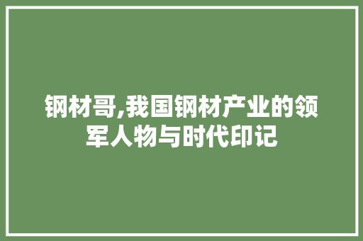 钢材哥,我国钢材产业的领军人物与时代印记