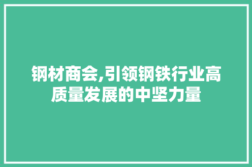 钢材商会,引领钢铁行业高质量发展的中坚力量