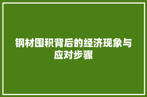 钢材囤积背后的经济现象与应对步骤