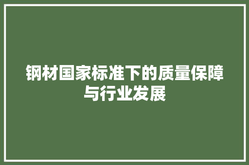 钢材国家标准下的质量保障与行业发展