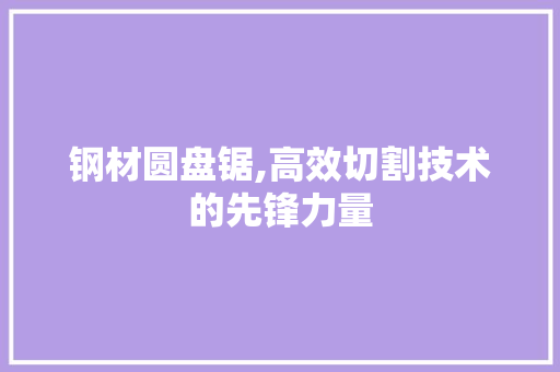 钢材圆盘锯,高效切割技术的先锋力量