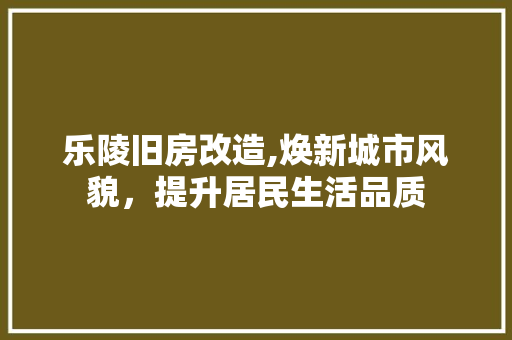 乐陵旧房改造,焕新城市风貌，提升居民生活品质