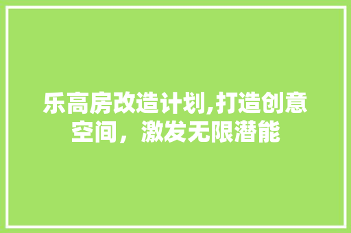 乐高房改造计划,打造创意空间，激发无限潜能