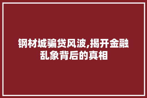 钢材城骗贷风波,揭开金融乱象背后的真相
