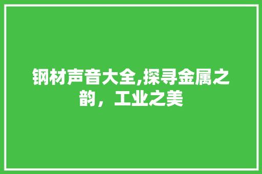 钢材声音大全,探寻金属之韵，工业之美
