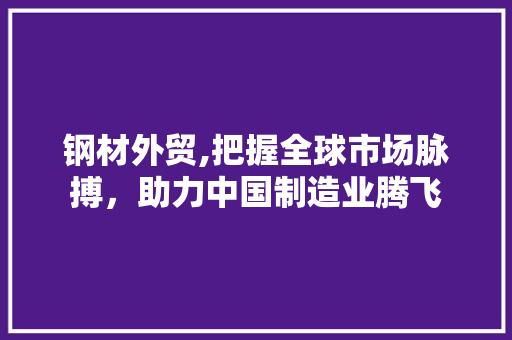 钢材外贸,把握全球市场脉搏，助力中国制造业腾飞