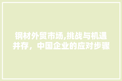钢材外贸市场,挑战与机遇并存，中国企业的应对步骤