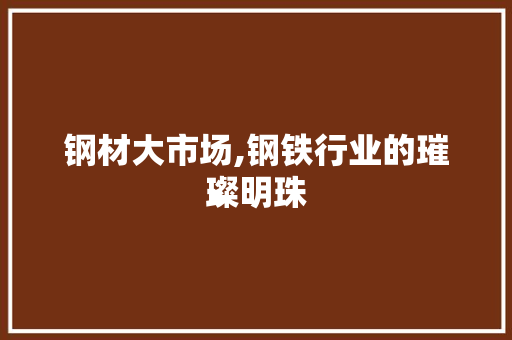 钢材大市场,钢铁行业的璀璨明珠