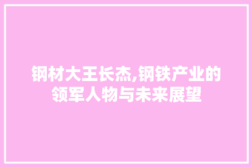 钢材大王长杰,钢铁产业的领军人物与未来展望