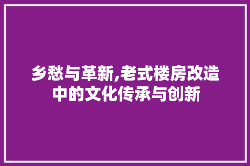 乡愁与革新,老式楼房改造中的文化传承与创新
