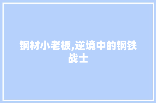 钢材小老板,逆境中的钢铁战士
