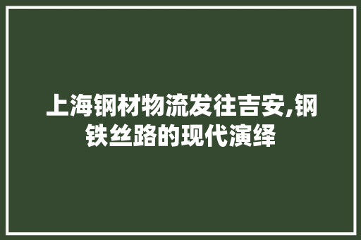 上海钢材物流发往吉安,钢铁丝路的现代演绎