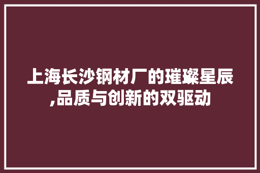 上海长沙钢材厂的璀璨星辰,品质与创新的双驱动