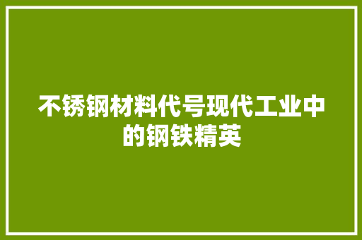 不锈钢材料代号现代工业中的钢铁精英