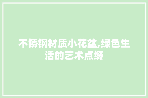 不锈钢材质小花盆,绿色生活的艺术点缀