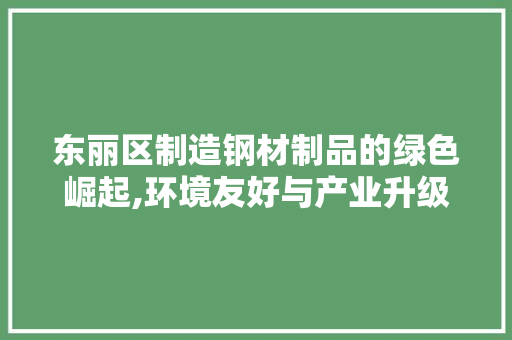 东丽区制造钢材制品的绿色崛起,环境友好与产业升级的双赢之路