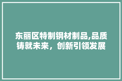 东丽区特制钢材制品,品质铸就未来，创新引领发展