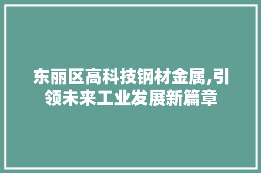 东丽区高科技钢材金属,引领未来工业发展新篇章