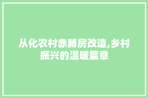 从化农村赤膊房改造,乡村振兴的温暖篇章