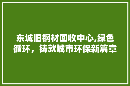东城旧钢材回收中心,绿色循环，铸就城市环保新篇章