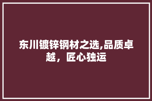 东川镀锌钢材之选,品质卓越，匠心独运