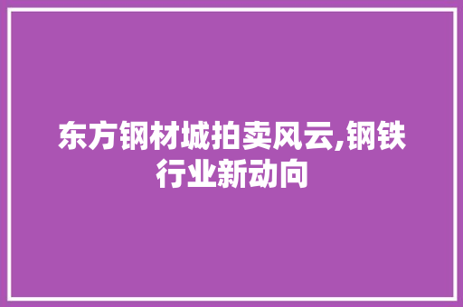 东方钢材城拍卖风云,钢铁行业新动向