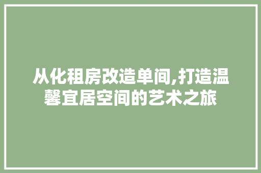 从化租房改造单间,打造温馨宜居空间的艺术之旅