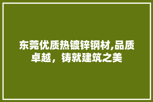 东莞优质热镀锌钢材,品质卓越，铸就建筑之美