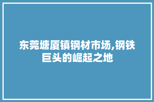 东莞塘厦镇钢材市场,钢铁巨头的崛起之地