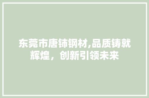 东莞市唐铈钢材,品质铸就辉煌，创新引领未来