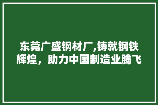 东莞广盛钢材厂,铸就钢铁辉煌，助力中国制造业腾飞