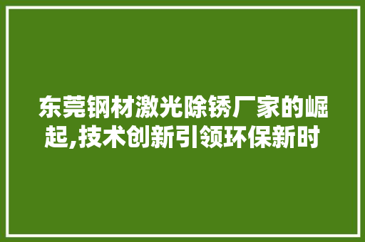 东莞钢材激光除锈厂家的崛起,技术创新引领环保新时代