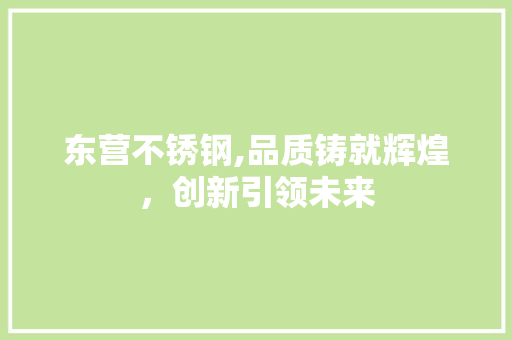 东营不锈钢,品质铸就辉煌，创新引领未来