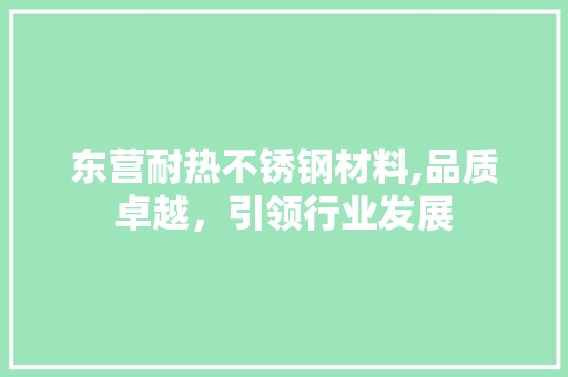 东营耐热不锈钢材料,品质卓越，引领行业发展