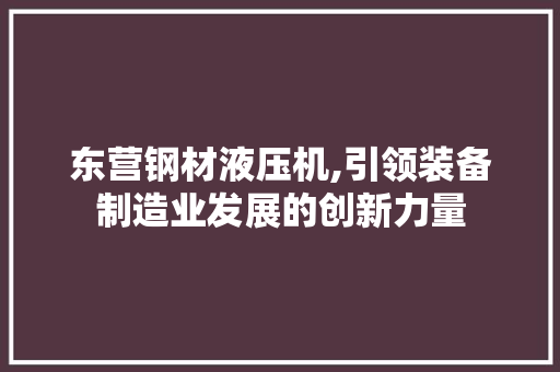 东营钢材液压机,引领装备制造业发展的创新力量