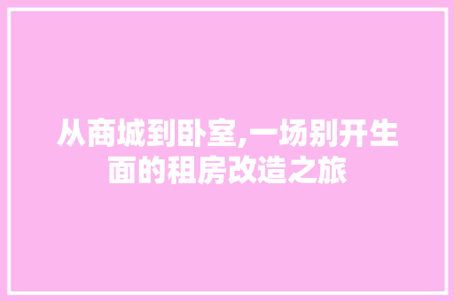 从商城到卧室,一场别开生面的租房改造之旅
