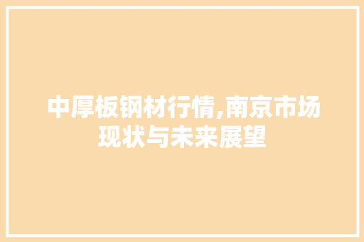 中厚板钢材行情,南京市场现状与未来展望