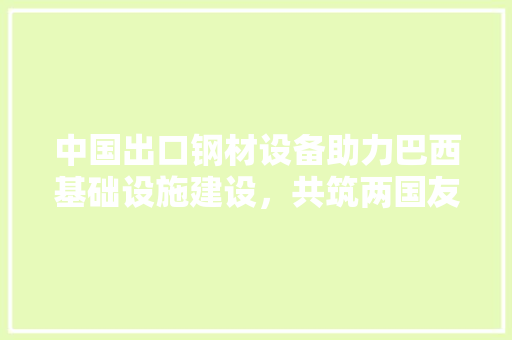 中国出口钢材设备助力巴西基础设施建设，共筑两国友谊桥梁
