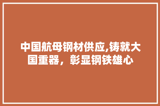 中国航母钢材供应,铸就大国重器，彰显钢铁雄心