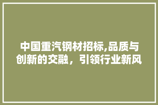 中国重汽钢材招标,品质与创新的交融，引领行业新风尚