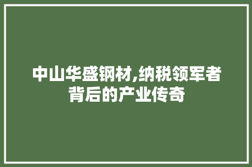 中山华盛钢材,纳税领军者背后的产业传奇