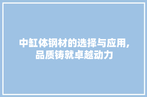 中缸体钢材的选择与应用,品质铸就卓越动力