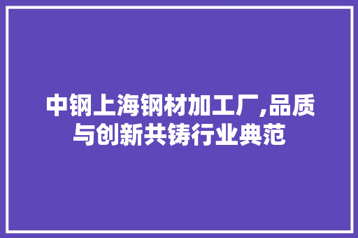中钢上海钢材加工厂,品质与创新共铸行业典范