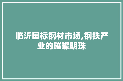 临沂国标钢材市场,钢铁产业的璀璨明珠