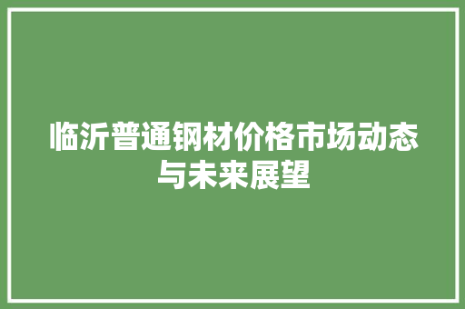 临沂普通钢材价格市场动态与未来展望