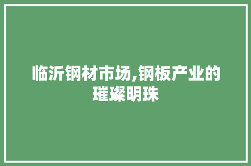 临沂钢材市场,钢板产业的璀璨明珠